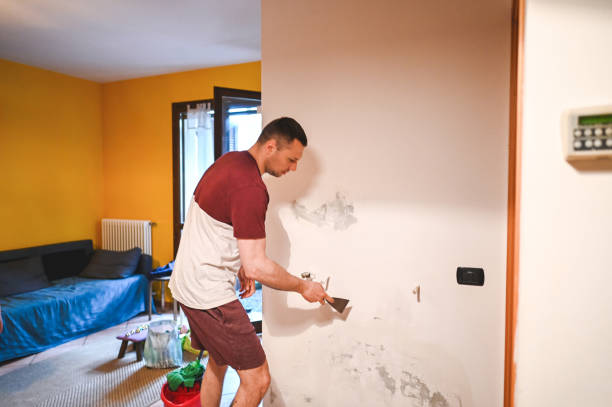 Best White Mold Remediation in Jacksonville, OR